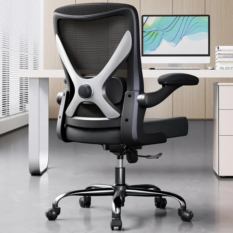Ergalithic Ergonomic Office Chair